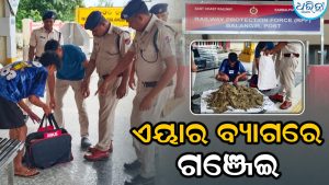 ଏୟାର ବ୍ୟାଗରେ ଗଞ୍ଜେଇ: ବଲାଙ୍ଗୀର ରେଲୱେ ଷ୍ଟେଶନରେ ଅପେକ୍ଷା କରିଥିବା ଯୁବକଙ୍କୁ…