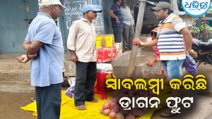 ପ୍ରଦୀପଙ୍କୁ ସ୍ବାବଲମ୍ବୀ କରିଛି ଡ୍ରାଗନ ଫ୍ରୁଟ ଚାଷ
