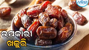 ହଜମ କ୍ରିୟାକୁ ସକ୍ରିୟ କରେ ଖଜୁରି, ଏହା ସହ ଗ୍ୟାଷ୍ଟ୍ରିକ ଓ କୋଷ୍ଠକାଠିନ୍ୟ ସମସ୍ୟାକୁ…