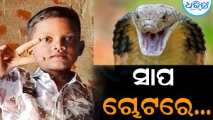 ଶୋଇଥିଲେ ୭ ବର୍ଷର ଶିଶୁ, କାମୁଡ଼ିଲା ସାପ: ଆଉ ତା’ପରେ…