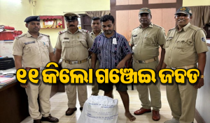 ବ୍ରହ୍ମପୁର ଚାଲାଣ କରୁଥିଲେ ଗଞ୍ଜେଇ, ବାଟରେ ଧରି ପକାଇଲା ପୋଲିସ, ତା’ପରେ…