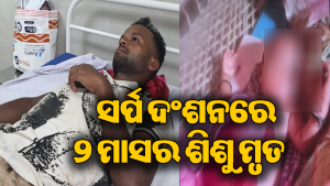 ସର୍ପ ଦଂଶନରେ ୨ ମାସର ଶିଶୁ ପୁତ୍ର ମୃତ, ବାପା ଅସୁସ୍ଥ: ଚିକିତ୍ସା ନ କରାଇ ଶିଶୁକୁ ପୋତିଦେଲେ…