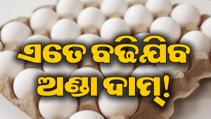 ଏତେ ଅଧିକ ବଢିଯିବ ଅଣ୍ଡା ଦାମ୍‌, ଜାଣିଲେ ଉଡିଜିବ ହୋସ୍‌