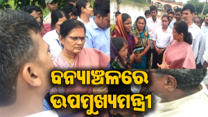 ବନ୍ୟାଞ୍ଚଳରେ ଉପମୁଖ୍ୟମନ୍ତ୍ରୀ: କୃଷି ଋଣ ଛାଡ଼ ସହ କ୍ଷତିପୂରଣ ପାଇ ଦାବି କଲେ ବିପନ୍ନ