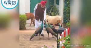 Video: ଇନଷ୍ଟାଗ୍ରାମରେ ଭିଡିଓ ଶେୟାର କରି ମୋଦି, କହିଲେ…