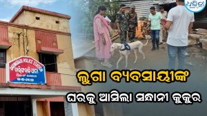 ଦାରିଙ୍ଗବାଡିରେ ବ୍ୟବସାୟୀଙ୍କ ଘରୁ ଲୁଟ୍ ଘଟଣା, ସନ୍ଧାନୀ କୁକୁର ପହଞ୍ଚି…