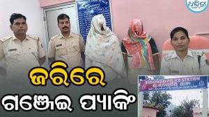 ତାବରସାହି ଜଙ୍ଗଲରୁ ୨୫ ଲକ୍ଷର ଗଞ୍ଜେଇ ଜବତ, ଗୋଡ଼ାଇ ଗୋଡ଼ାଇ ବାନ୍ଧିଲା ପୋଲିସ