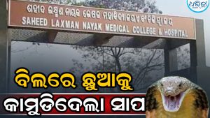 ବିଲରେ ଛୁଆକୁ ଶୁଆଇଥିବା ବେଳେ କାମୁଡିଦେଲା ସାପ; ହଠାତ୍ ଫୁଲିଗଲା ମୁହଁ, ତାପରେ…