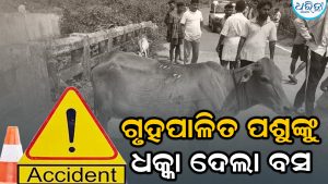 ଗୃହପାଳିତ ପଶୁଙ୍କୁ ଧକ୍କା ଦେଲା ଘରୋଇ ବସ୍, ଜବତ କରି ଥାନାକୁ ନେଲା ପୋଲିସ
