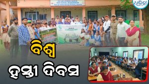 ବିଶ୍ୱ ହସ୍ତୀ ଦିବସ, ହାତୀଙ୍କ ସୁରକ୍ଷିତ ବାସସ୍ଥଳୀ ପାଲଟିଛି ଘୁମୁସର ଉତ୍ତର ବନଖଣ୍ଡ