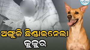ସ୍କୁଲରେ ଛାତ୍ରଙ୍କ ଅଙ୍ଗୁଳି ଛିଣ୍ଡାଇନେଲା କୁକୁର: କ୍ଷତିପୂରଣ ଦାବି