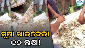 ସ୍ୱାମୀଙ୍କୁ ନଜଣାଇ ଟ୍ରଙ୍କରେ ରଖିଥିଲେ ୧୨ ଲକ୍ଷ, ସବୁ ଖାଇଦେଲା ମୂଷା! ତାପରେ….