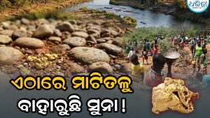 ମାଟି ଖୋଳିଲେ ମିଳୁଛି ସୁନା! ଏହି ଗାଁରେ ପ୍ରବଳ ଭିଡ଼, ଦିନକୁ ପହଞ୍ଚୁଛନ୍ତି ୧୦ ହଜାର ଲୋକ