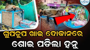 ଗୁପଚୁପ ଖାଇବା ପରେ ଆସିଲା ନିଦ; ବାକ୍ସ ଉପରେ ଶୋଇପଡ଼ିଲା ହନୁ ମାଙ୍କଡ଼, ଭାଇରାଲ ହେଉଛି Video
