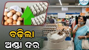 ମହଙ୍ଗା ମାଡ଼: ବଢ଼ିଲା ଅଣ୍ଡା ଦର, ଏତିକି ଟଙ୍କା ହେବ ଚିକେନ ଦାମ୍