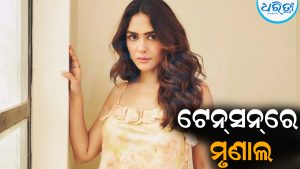 ଟେନ୍‌ସନ୍‌ରେ ଅଛନ୍ତି ମୃଣାଲ: ଦେଲେ ଚେତାବନୀ