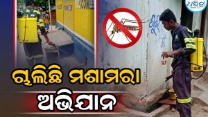କେସିଙ୍ଗାରେ ମଶାଙ୍କ ପ୍ରାଦୁର୍ଭାବ: ପ୍ରତି ଡ୍ରେନ୍‌ରେ ପକାଯାଉଛି ମଶାତେଲ