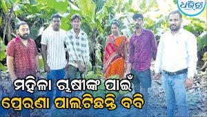 ସ୍ବାବଲମ୍ବୀ ହୋଇ ଅନ୍ୟକୁ ରୋଜଗାରର ପଥ ଦେଖାଇଛନ୍ତି ମହିଳା, କଦଳୀ ଚାଷ କରିି ବବି ଲକ୍ଷପତି