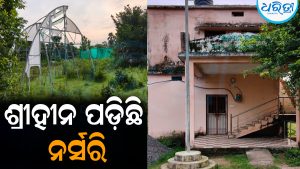 ଚିଚର୍ଲା ଉଦ୍ୟାନ ବିଭାଗରେ ନାହିଁ ପାଣି ସୁବିଧା: ଶ୍ରୀହୀନ ପଡ଼ିଛି ନର୍ସରି