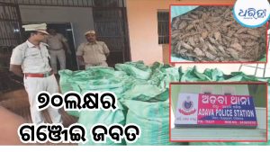 ଗଞ୍ଜେଇ ଚାଲାଣ ପାଇଁ ଯୋଜନା ଚାଲିଥିବା ବେଳେ ମାଡିବସିଲା ଅଡବା ପୋଲିସ, ୭ କ୍ୱିଣ୍ଟାଲ ଜବତ