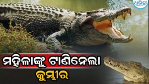 ଶୌଚ ହେବାକୁ ଯାଇଥିଲେ ମହିଳା, ଟାଣିନେଲା କୁମ୍ଭୀର, ନଦୀକୂଳରେ ପଡ଼ିଛି…