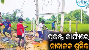 ଉଠାଜଳସେଚନ ପ୍ରକଳ୍ପ କାର୍ଯ୍ୟରେ ନାବାଳକ ଶ୍ରମିକ: ଡିପ୍‌ ବୋର୍‌ୱେଲ ପ୍ରକଳ୍ପ ଅଧା