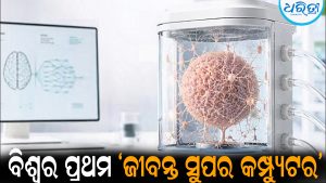 ମଣିଷ ମସ୍ତିଷ୍କ କୋଷରେ ଚାଲିବ ସୁପର କମ୍ପ୍ୟୁଟର: ତିଆରିହେଲା ବିଶ୍ୱର ପ୍ରଥମ ‘ଜୀବନ୍ତ ସୁପର କମ୍ପ୍ୟୁଟର’