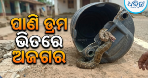 ପାଣି ଡ୍ରମ ଭିତରେ କୁଣ୍ଡଳୀ ମାରି ବସିଥିଲା ବିରାଟକାୟ ଅଜଗର, ପରିବାର ଲୋକଙ୍କ ମଧ୍ୟରେ ଖେଳିଗଲା ଆତଙ୍କ, ତା’ ପରେ…