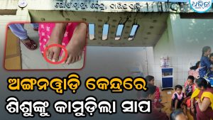 ଅଙ୍ଗନଓ୍ବାଡ଼ି କେନ୍ଦ୍ରରେ ଶିଶୁଙ୍କୁ କାମୁଡ଼ିଲା ସାପ, ସ୍ବାସ୍ଥ୍ୟକେନ୍ଦ୍ରରେ ପହଞ୍ଚିଲେ କର୍ମୀ-ସିଡିପିଓ