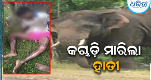 ଡେରା ପକାଇଥିଲେ ବଣୁଆ ହାତୀ, ଗାଧୋଇବାକୁ ଯିବା ବେଳେ ହାବୁଡ଼ରେ ପଡ଼ିଗଲେ ଯୁବକ; ଶୁଣ୍ଢରେ କଚାଡ଼ି…
