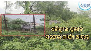ଧରିତ୍ରୀର ପ୍ରଭାବ; ତତ୍ପରତା ଦେଖାଇଲେ ବିଦ୍ୟୁତ କର୍ମଚାରୀ, ସଫେଇ ହେଲା ଟ୍ରାନ୍ସଫର୍ମର ନିକଟ ଗଛ