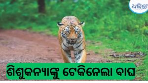 କ୍ରିକେଟ୍‌ କୋଚଙ୍କୁ ହତ୍ୟା: ଖେଳାଳିଙ୍କ ସହ ଯୋଇଥିଲା ଯୁକ୍ତିତର୍କ, ଆଉ ତା’ପରେ ଘଟିଲା…