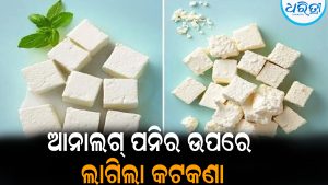 ଆନାଲଗ ପନିର ବ୍ୟାନ୍‌: ଜାଣନ୍ତୁ ଏହା କ’ଣ