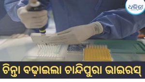 ଘାତକ ସାଜୁଛି ଚାନ୍ଦିପୁରା ଭାଇରସ୍! ୪୧ ଆକ୍ରାନ୍ତ, ୨୭ ମୃତ