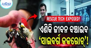 ଡାକ୍ତରୀ ମିଶନ ପାଇଁ ଆସିବେ ‘ସାଇବର୍ଗ କକ୍‌ରୋଚ୍‌’