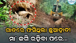 ଗାତରେ ପଡ଼ିଗଲା ହାତୀଛୁଆ, ଜଗି ରହି ଚିତ୍କାର କରୁଥିଲା ମା’, ଆଉ ତା’ ପରେ…