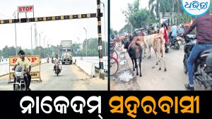 ବେଲଗାମ୍‌ ଟ୍ରାଫିକ ବ୍ୟବସ୍ଥା, ନାକେଦମ୍‌ ସହରବାସୀ: ସ୍ପିଡ୍‌ ବାଇକର୍‌ଙ୍କ ଯୋଗୁ ଦୁର୍ଘଟଣା ଭୟ