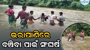 ଭରା ପାଣିରେ ବଞ୍ଚିବା ପାଇଁ ସଂଘର୍ଷ, ଗ୍ରାମବାସୀ ଜନପ୍ରତିନିଧିଙ୍କୁ ଅଭିଯୋଗ କରିବା ପରେ ବି…
