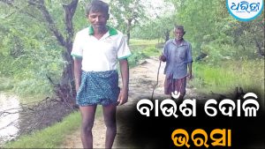 ଅପହଞ୍ଚ ଗାଁ ପାଣିଖିଆ: ମୌଳିକ ସୁବିଧାରୁ ବଞ୍ଚିତ ଲୋକେ