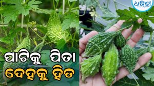 କଲରାରେ ଭରି ରହିଛି ଏସବୁ ଉପକାରୀ ଗୁଣ…