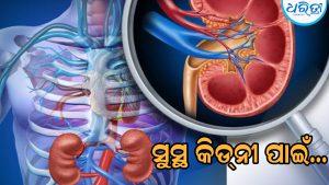 କିଡ୍‌ନୀ ସୁସ୍ଥ ରଖିବାକୁ ହେଲେ ଆପଣାନ୍ତୁ ଏହି ଉପାୟ…