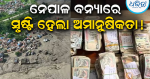 ନେପାଳ ବନ୍ୟାରେ ସାଙ୍ଘାତିକ ଲୁଟ୍! ଭାସିଆସିଲା ସିନ୍ଦୁକ, ଲୁଟିନେଲେ ୯୨.୭ ଲକ୍ଷ! ମୃତଦେହରୁ ବି ଚୋରି ହେଲା…