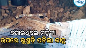 ଶୋଇଥିବାବେଳେ ମହିଳାଙ୍କ ଉପରେ ଭୁଶୁଡ଼ି ପଡ଼ିଲା କାନ୍ଥ, ତହସିଲଦାର ପହଞ୍ଚି…