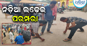 ସାକ୍ଷୀଗୋପାଳରେ ଆଜିବି ବଞ୍ଚିଛି ଶହ ଶହ ବର୍ଷର ନଡ଼ିଆ ଲଢ଼େଇ ପରମ୍ପରା, ଗହ୍ମାପୂର୍ଣ୍ଣମୀରେ…