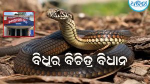 ବିଧିର ବିଚିତ୍ର ବିଧାନ: ରାତିରେ ଶୋଇଥିଲେ ଅଜା- ନାତି ସକାଳକୁ  ଦେଖିଲାବେଳକୁ ….