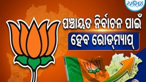 ୫ ଓ ୬ରେ ଭାଜପାର ଦୁଇଦିନିଆ କାର୍ଯ୍ୟକାରିଣୀ ବୈଠକ: ପଞ୍ଚାୟତ ନିର୍ବାଚନ ପାଇଁ ହେବ ରୋଡ୍‌ମ୍ୟାପ୍‌