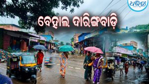 ଦାରିଙ୍ଗବାଡ଼ି ଅଞ୍ଚଳରେ ଲଘୁଚାପଜନିତ ବର୍ଷା ଜାରି, ଘନ କୁହୁଡ଼ି ସାଙ୍ଗକୁ କୋହଲା ପବନ