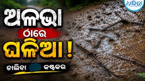 ବ୍ରାହ୍ମଣୀରେ ଭୟଙ୍କର ବନ୍ୟା: ବିପଦ ସଙ୍କେତ ଡେଇଁ ୨୦ ଫୁଟରେ ପ୍ରବାହିତ ଜଳ, ଅଳଭା ଠାରେ ଘଳିଆ