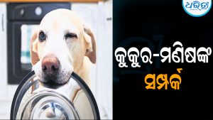ମାଲିକ ଆଖି ମିଟିକାଇଲେ ଅନୁକରଣ କରନ୍ତି କୁକୁର: ସାମ୍ନାକୁ ଆସିଲା ଚମକପ୍ରଦ ଘଟଣା