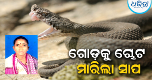 କବାଟ ଖୋଲୁଥିବା ବେଳେ ଗୋଡ଼କୁ ଚୋଟ ମାରିଲା ସାପ, ଚାଲିଗଲା…